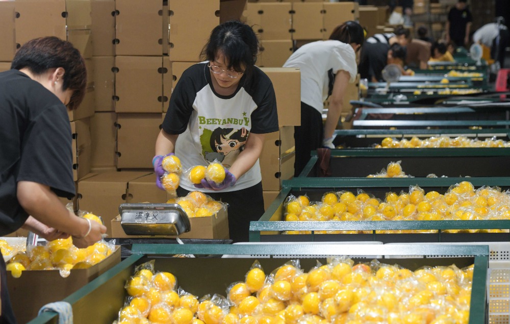 回收报废车名片设计_报废车收购名片_高价回收报废车名片